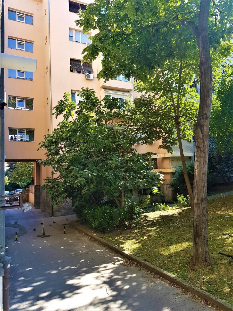 Asya Blue Apartment Belgrád Kültér fotó